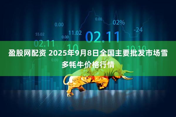 盈股网配资 2025年9月8日全国主要批发市场雪多牦牛价格行情