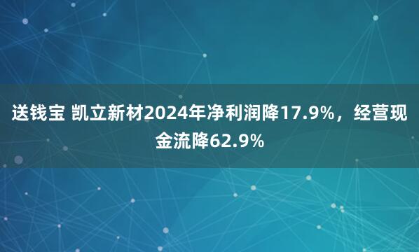 送钱宝 凯立新材2024年净利润降17.9%，经营现金流降62.9%