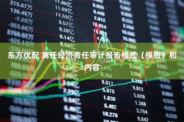 东方优配 离任经济责任审计报告格式（模板）和内容
