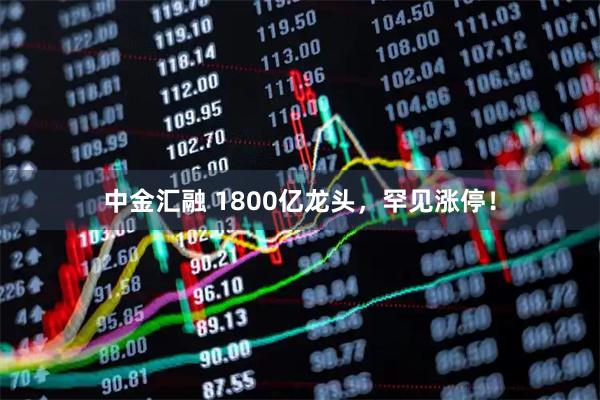 中金汇融 1800亿龙头，罕见涨停！