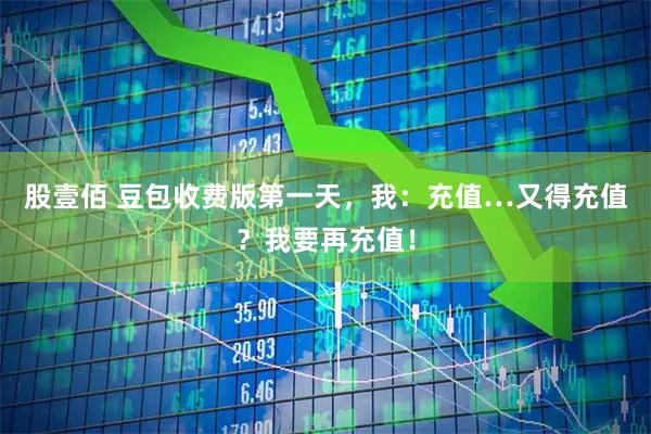 股壹佰 豆包收费版第一天，我：充值…又得充值？我要再充值！